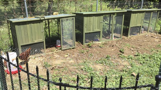 ware chicken coops