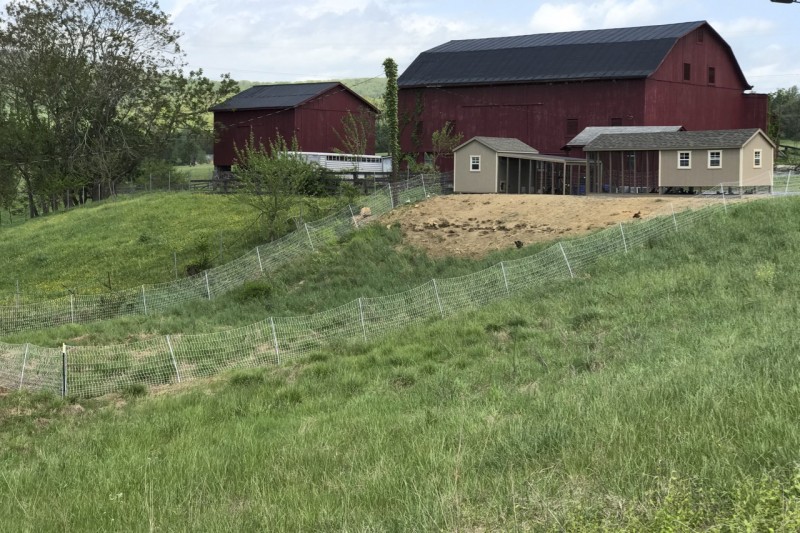 coops, runs and pasture
