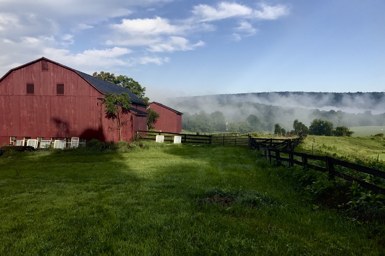 barns and misty mountains
