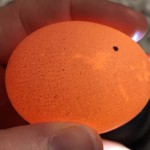 canceled egg with crack